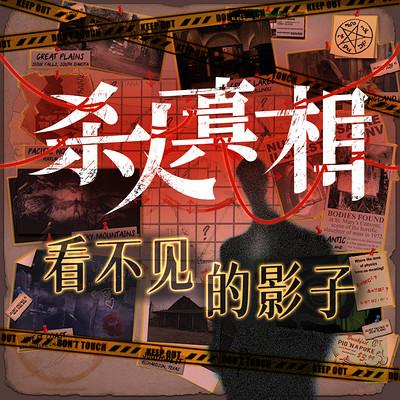 杀人真相：看不见的影子