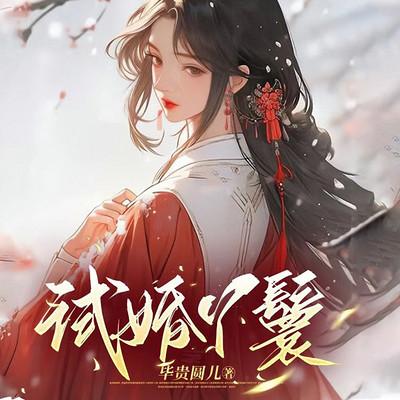 试婚丫鬟