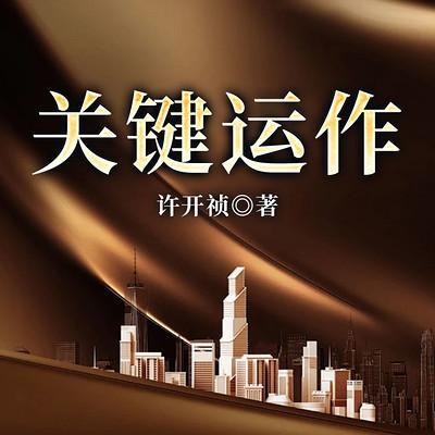 关键运作