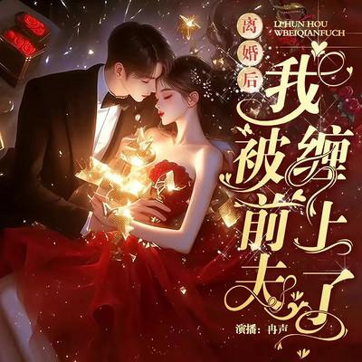 离婚后我被前夫缠上了