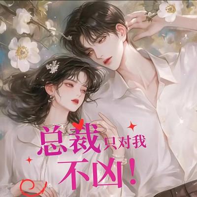 总裁只对我不凶