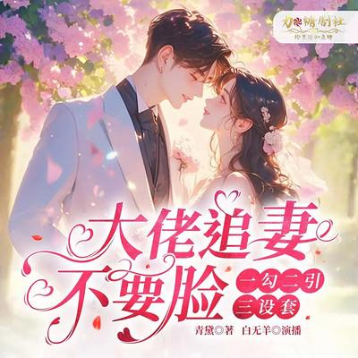 大佬追妻不要脸一勾二引三设套